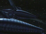 These are old cruisers of the Minbari.