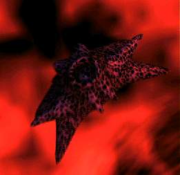 This ship is a very deadly fighter.
